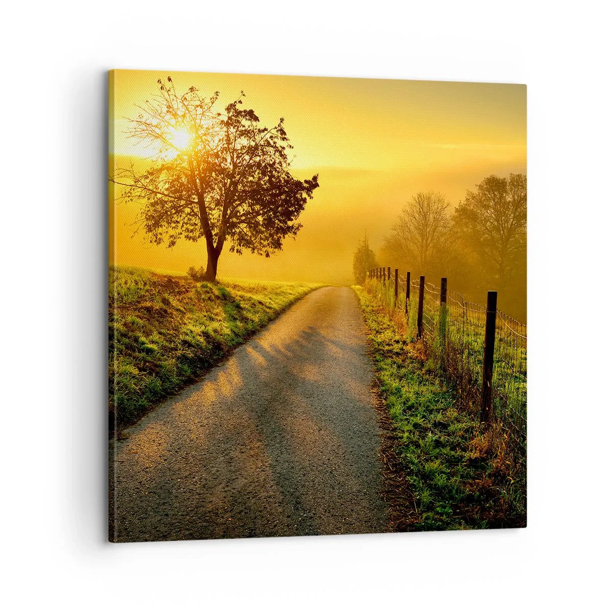 Bild auf Leinwand - Leinwandbild - Honig-Nachmittag - 60x60 cm