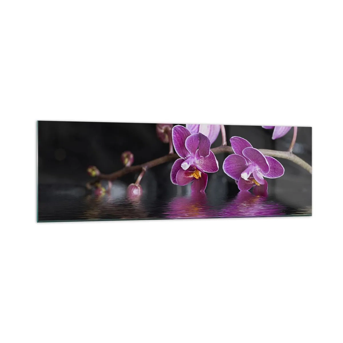 Glasbild - Bild auf glas - Lila Orchideen über ruhigem Wasser vor schwarzem Hintergrund - 160x50cm - Lila Spiegelbild der Schönheit - Moderne Wanddekoration für Wohnzimmer und Schlafzimmer ARTTOR