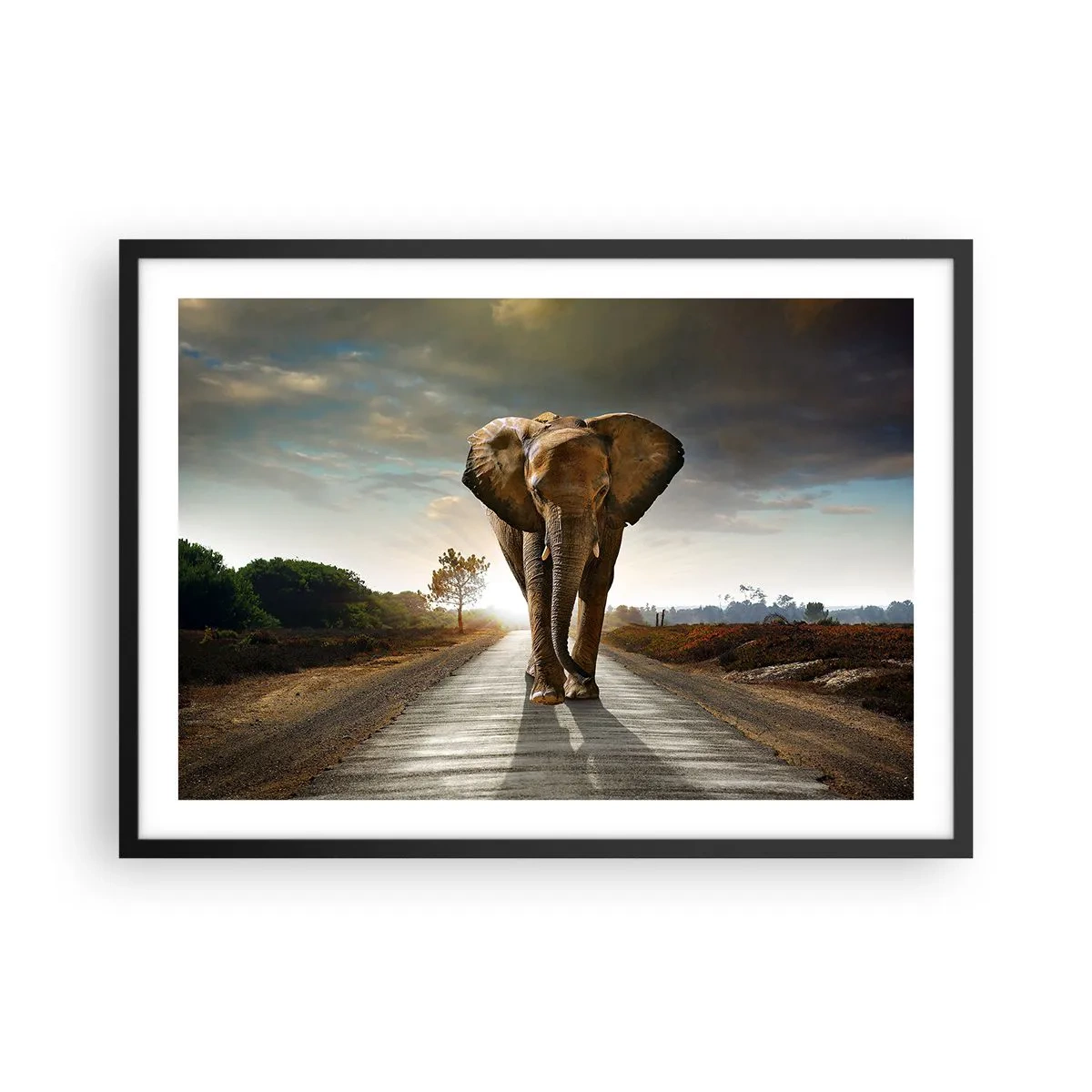 Poster in einem schwarzem Rahmen - Ein Elefant, der bei Sonnenuntergang auf einer Straße durch eine Landschaft läuft - 70x50cm - Und schon gar nicht in einem Porzellanlager - Moderne Wanddekoration für Wohnzimmer und Schlafzimmer ARTTOR