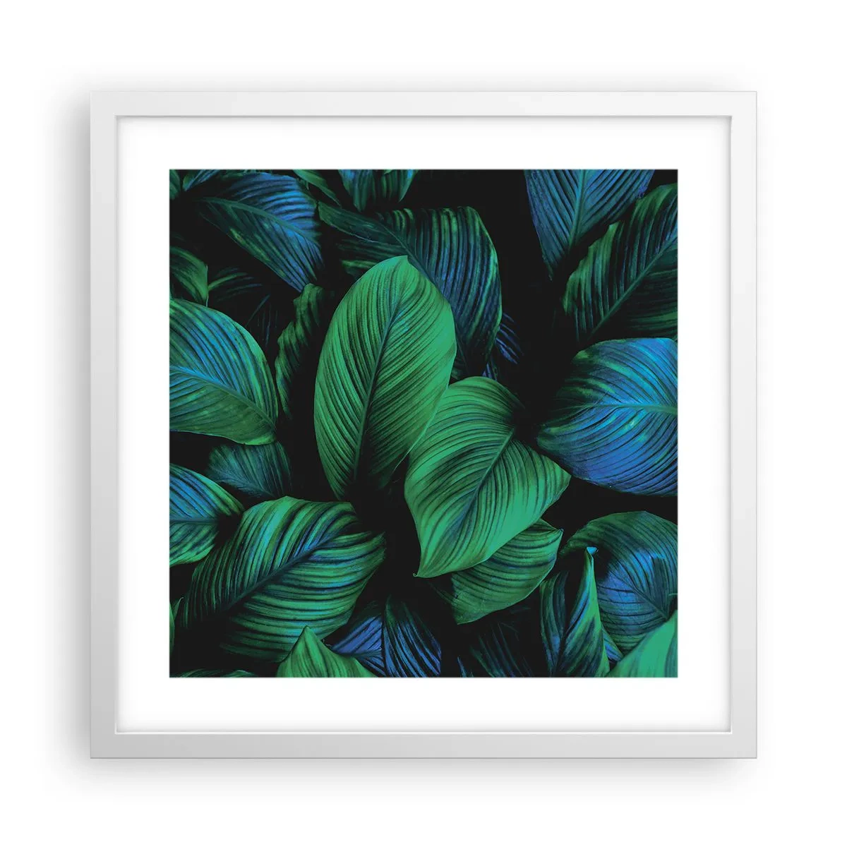 Poster in einem weißen Rahmen - In der grünen Menge - 40x40 cm