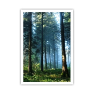 Poster - Strahlend am Morgen - 70x100 cm