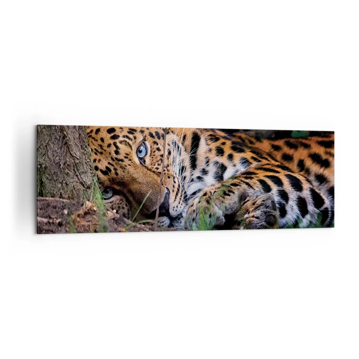 Bild auf Leinwand - Leinwandbild - Ein Leopard, der im Schatten der Bäume liegt - 160x50cm - Vertrau mir - Moderne Wanddekoration für Wohnzimmer und Schlafzimmer ARTTOR