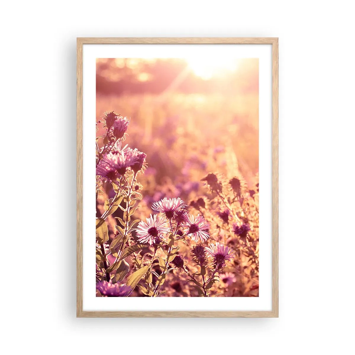 Poster in einem Rahmen aus heller Eiche - Bevor der Sommer vorbei ist - 50x70 cm