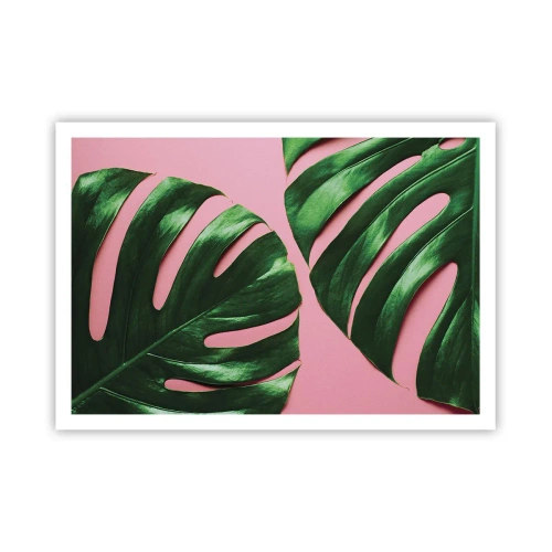 Poster - Grüne Monstera-Blätter auf rosa Hintergrund - 100x70cm - Rendezvous im Grünen - Moderne Wanddekoration für Wohnzimmer und Schlafzimmer ARTTOR