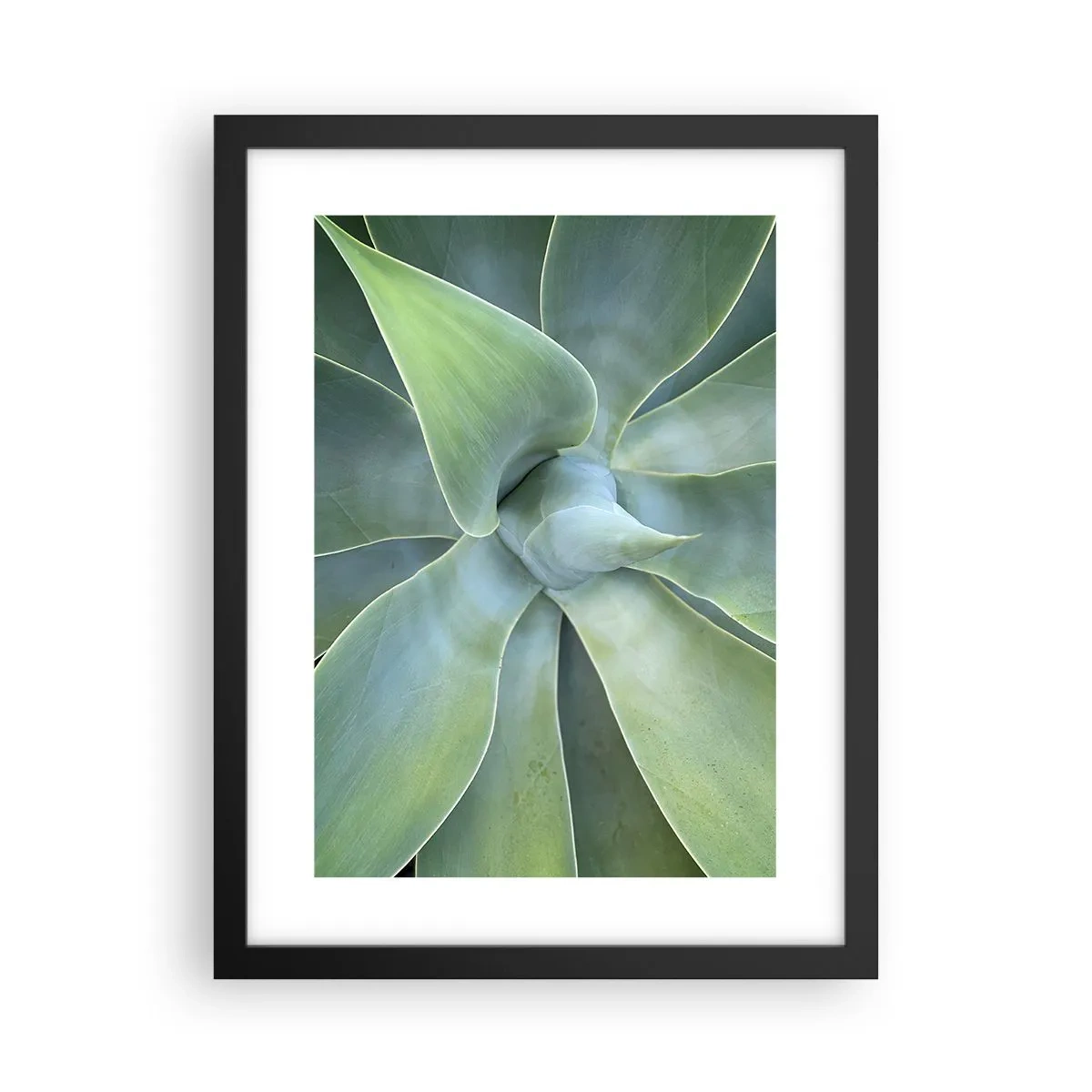 Poster in einem schwarzem Rahmen - Geburt des Grüns - 30x40 cm