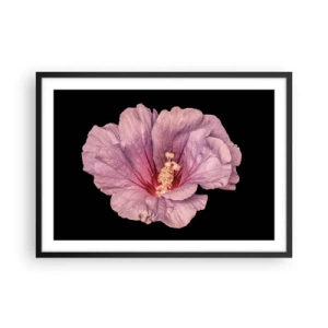 Poster in einem schwarzem Rahmen - Rosa Blume auf schwarzem Hintergrund - 70x50cm - Direkt ins Herz - Moderne Wanddekoration für Wohnzimmer und Schlafzimmer ARTTOR