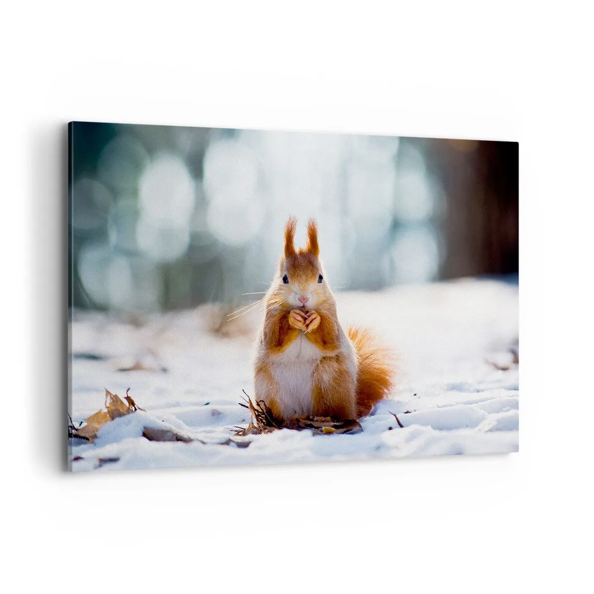 Bild auf Leinwand - Leinwandbild - Ein Eichhörnchen in einer Winterlandschaft - 100x70cm - Wo schaust du hin? - Moderne Wanddekoration für Wohnzimmer und Schlafzimmer ARTTOR
