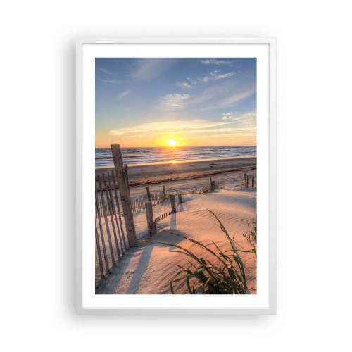 Poster in einem weißen Rahmen - Schein und Schatten des Windes - 50x70 cm