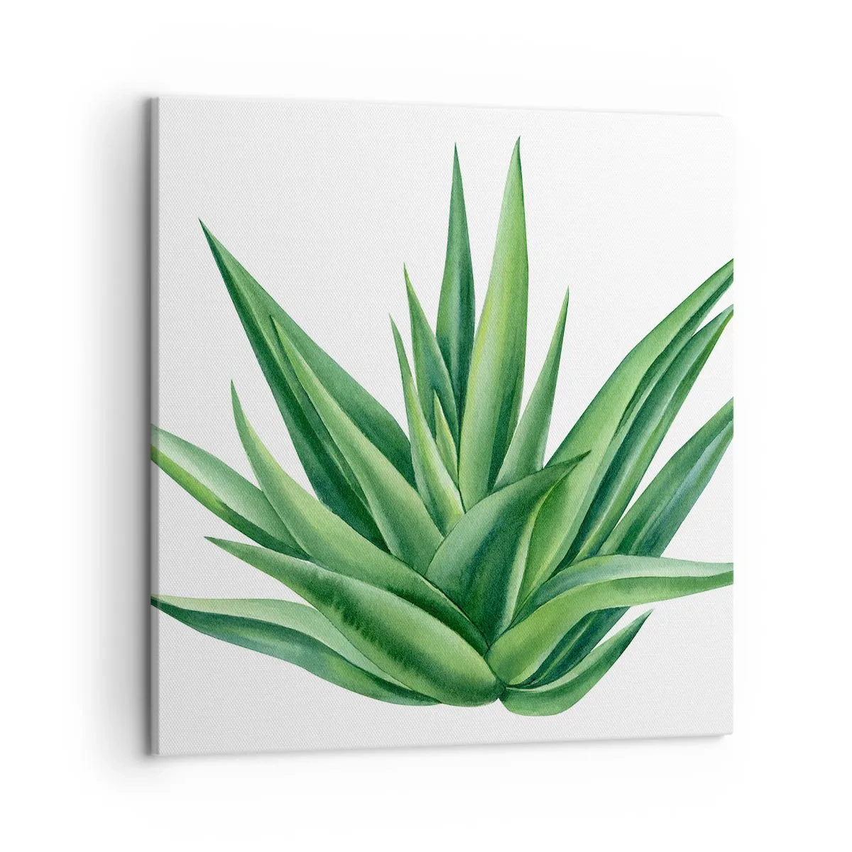 Bild auf Leinwand - Leinwandbild - Grün – Kraft – Leben - 50x50 cm