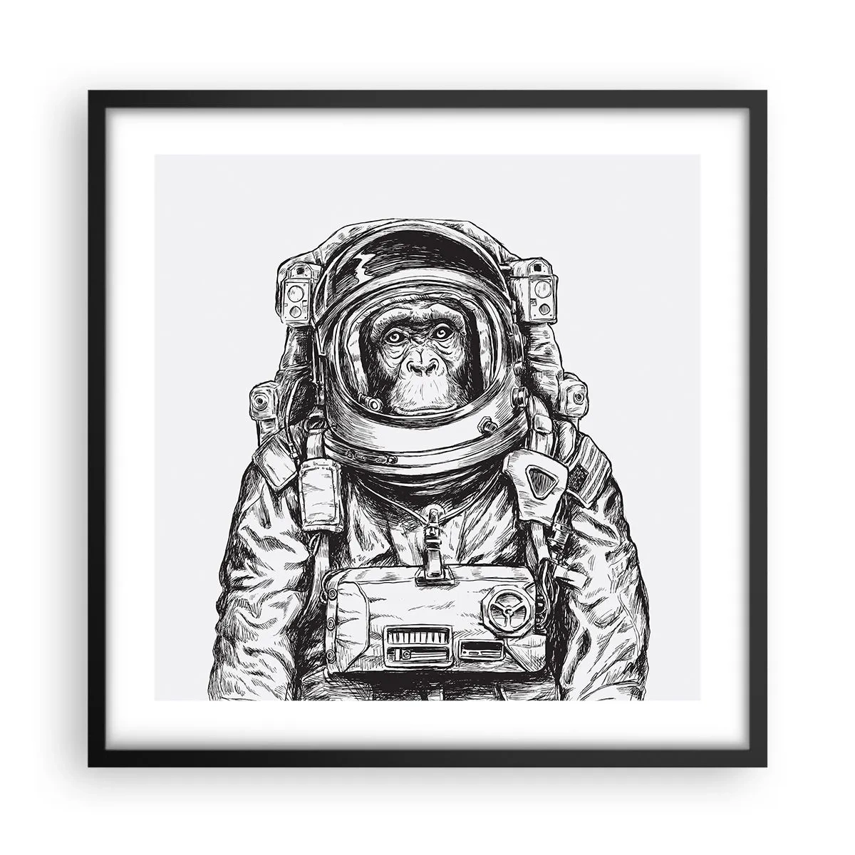 Poster in einem schwarzem Rahmen - Alternative Evolution - 50x50 cm