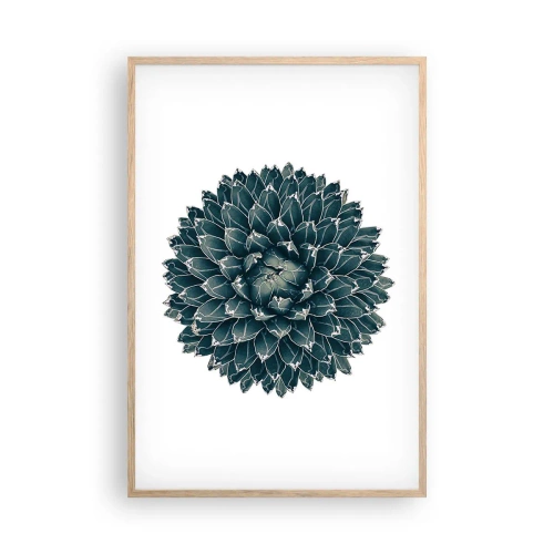 Poster in einem Rahmen aus heller Eiche - Stern der Wüste - 61x91 cm