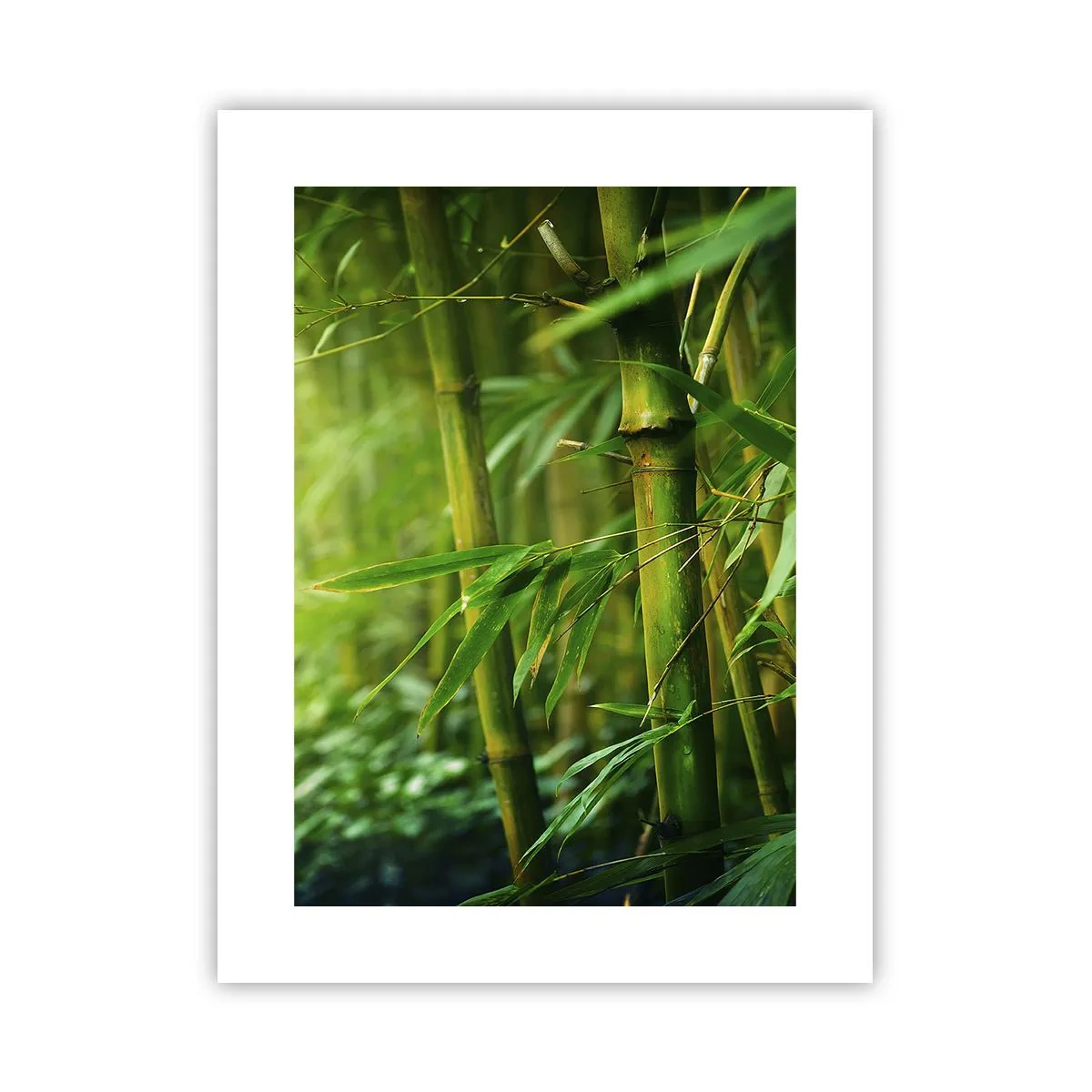 Poster - Lerne Grün selbst kennen - 30x40 cm