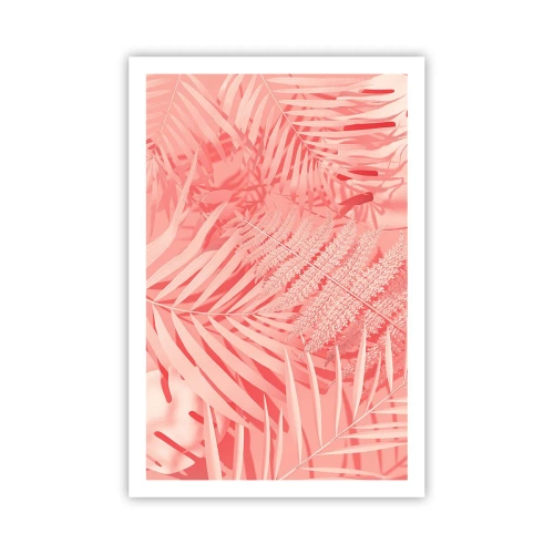 Poster - Rosa Konzept - 61x91 cm