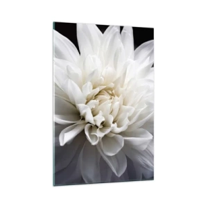 Glasbild - Bild auf glas - Eine zarte weiße Blume auf schwarzem Hintergrund in einer eleganten Komposition - 80x120cm - Der Morgen der Braut - Moderne Wanddekoration für Wohnzimmer und Schlafzimmer ARTTOR