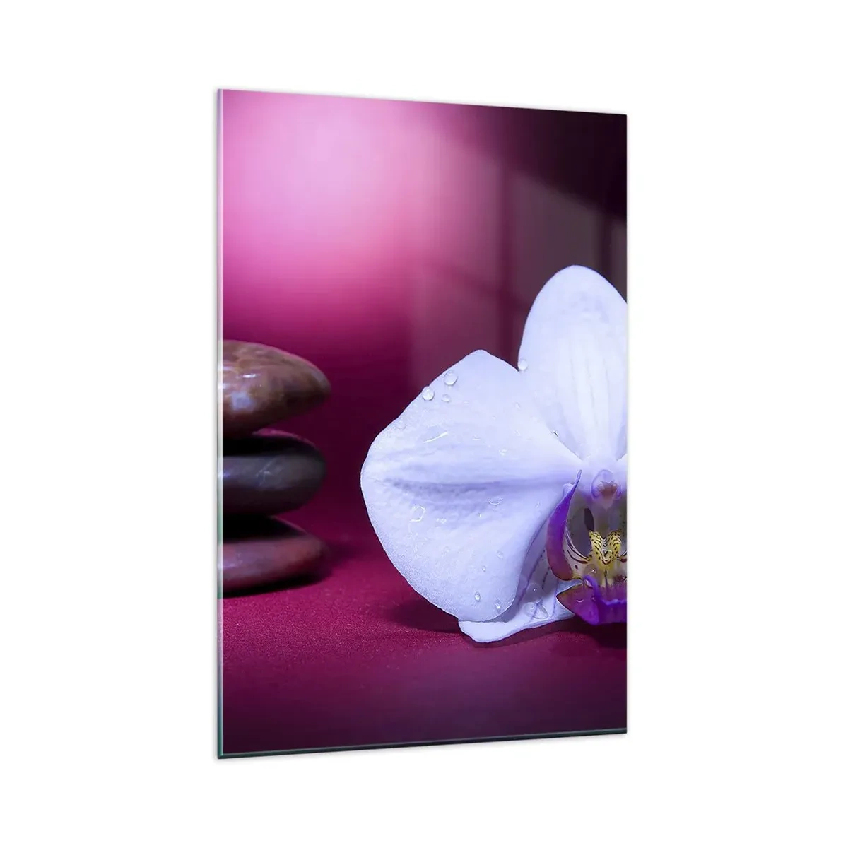 Glasbild - Bild auf glas - Weiße Orchidee und Steine auf rosa Hintergrund - 80x120cm - Eine Studie der Frische in Lila - Moderne Wanddekoration für Wohnzimmer und Schlafzimmer ARTTOR