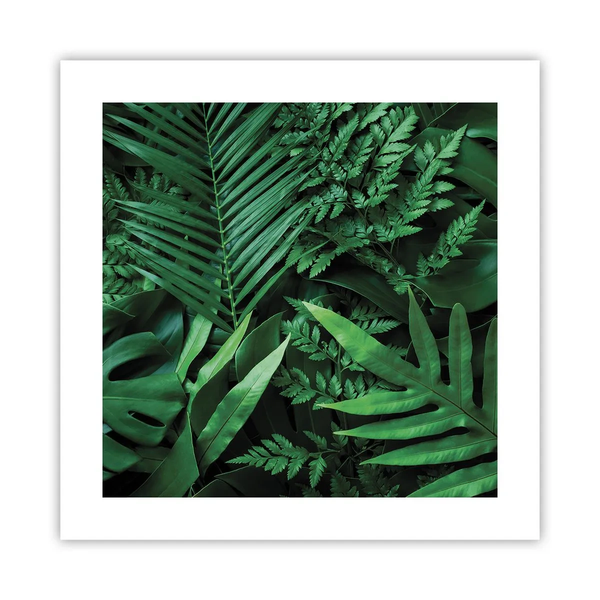 Poster - Eingebettet ins Grüne - 40x40 cm