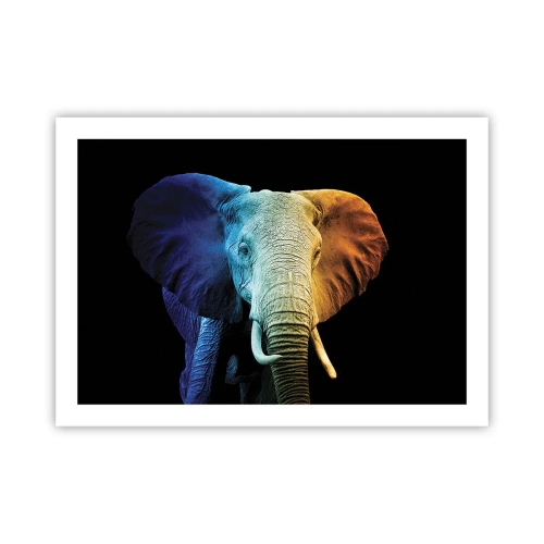 Poster - Exzentrisch, kein Verrückter - 70x50 cm