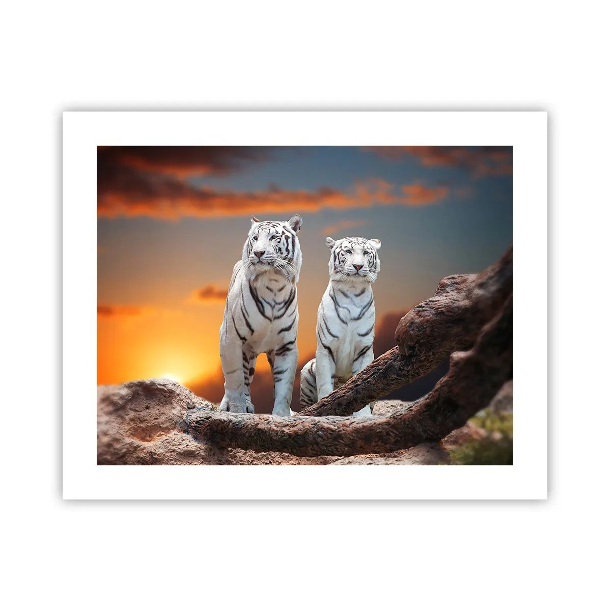 Poster - Genau wie Narnia - 50x40 cm