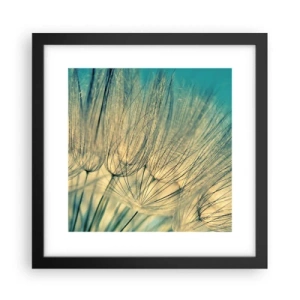 Poster in einem schwarzem Rahmen - In Erwartung des Windes - 30x30 cm