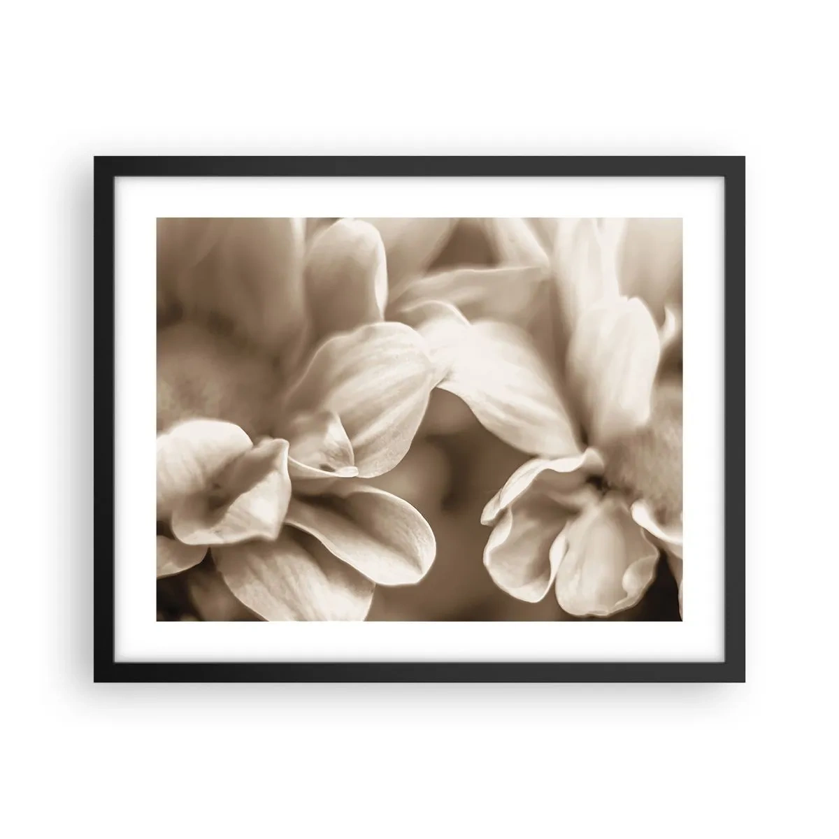 Poster in einem schwarzem Rahmen - So sanft wie ein Lächeln - 50x40 cm