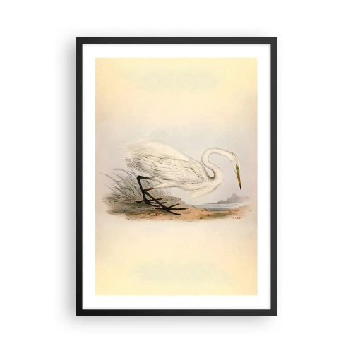 Poster in einem schwarzem Rahmen - Illustration eines Reihers vor einem pastellfarbenen Landschaftshintergrund - 50x70cm - Dame auf den Binsen - Moderne Wanddekoration für Wohnzimmer und Schlafzimmer ARTTOR