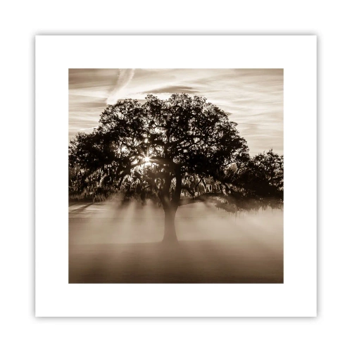 Poster - Baum der guten Nachrichten  - 30x30 cm