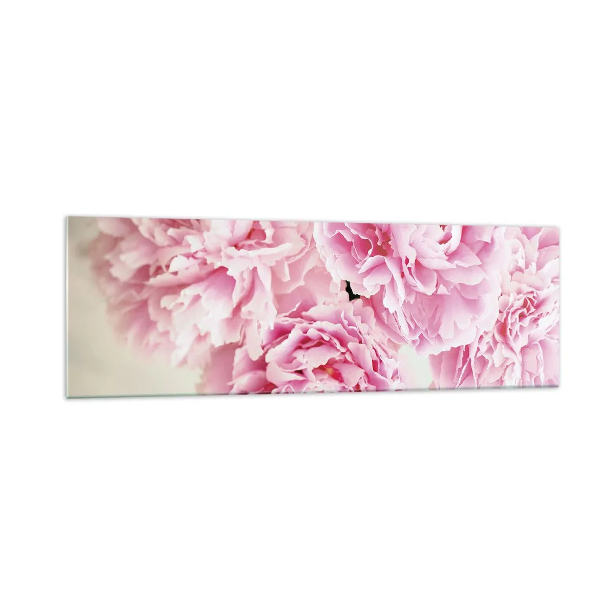 Glasbild - Bild auf glas - Ein Strauß rosa Pfingstrosen auf hellem Hintergrund - 160x50cm - In rosa Glamour - Moderne Wanddekoration für Wohnzimmer und Schlafzimmer ARTTOR