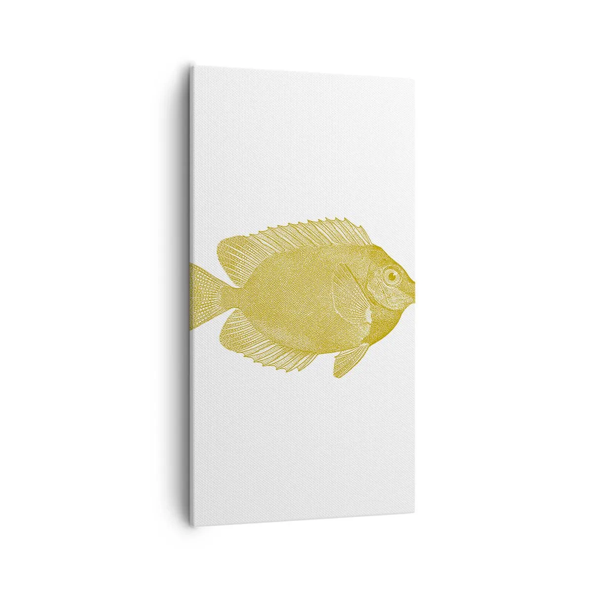 Bild auf Leinwand - Leinwandbild - Fisch und das war’s - 55x100 cm