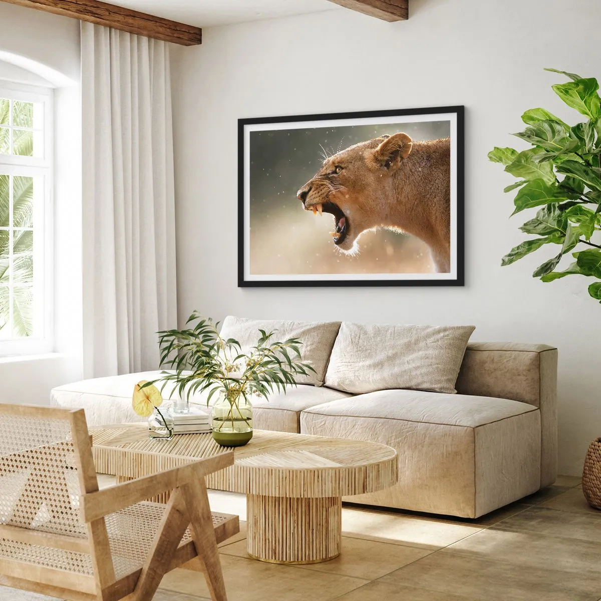 Poster in einem schwarzem Rahmen - Porträt einer brüllenden Löwin im natürlichen Licht - 70x50cm - Versuch, nicht zuzuhören - Moderne Wanddekoration für Wohnzimmer und Schlafzimmer ARTTOR