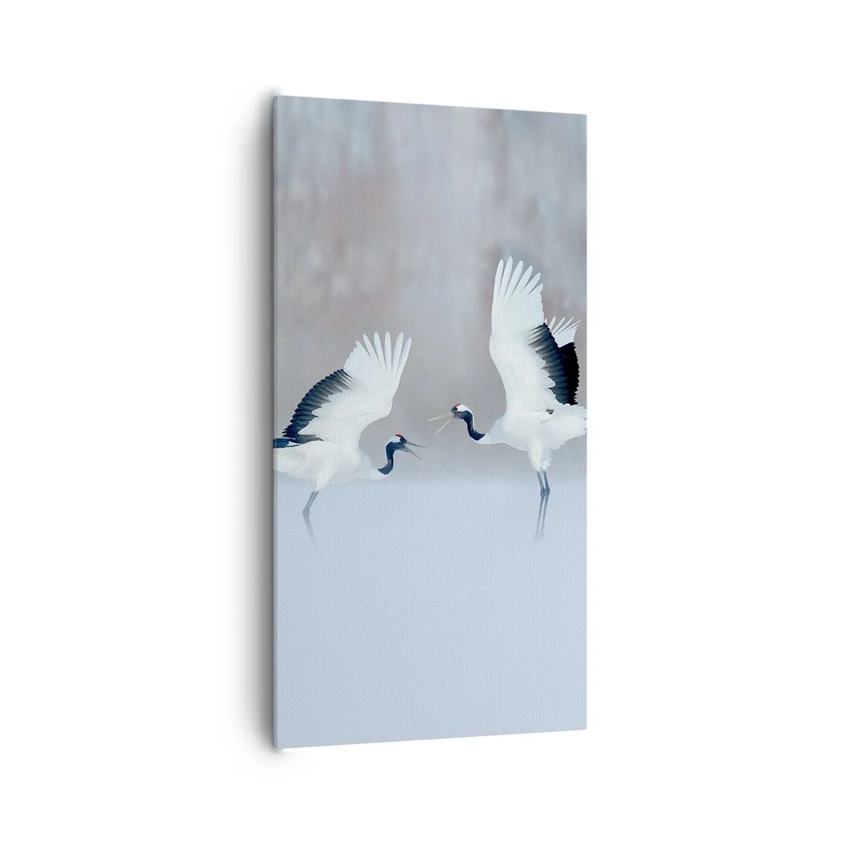 Bild auf Leinwand - Leinwandbild - Tanz im Nebel - 65x120 cm