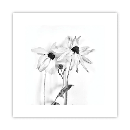 Poster - Niemand will allein sein - 30x30 cm