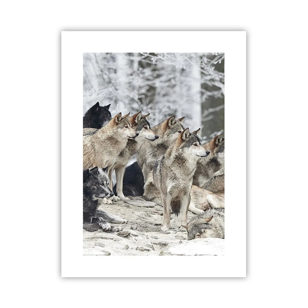 Poster - Familie und Freunde - 30x40 cm