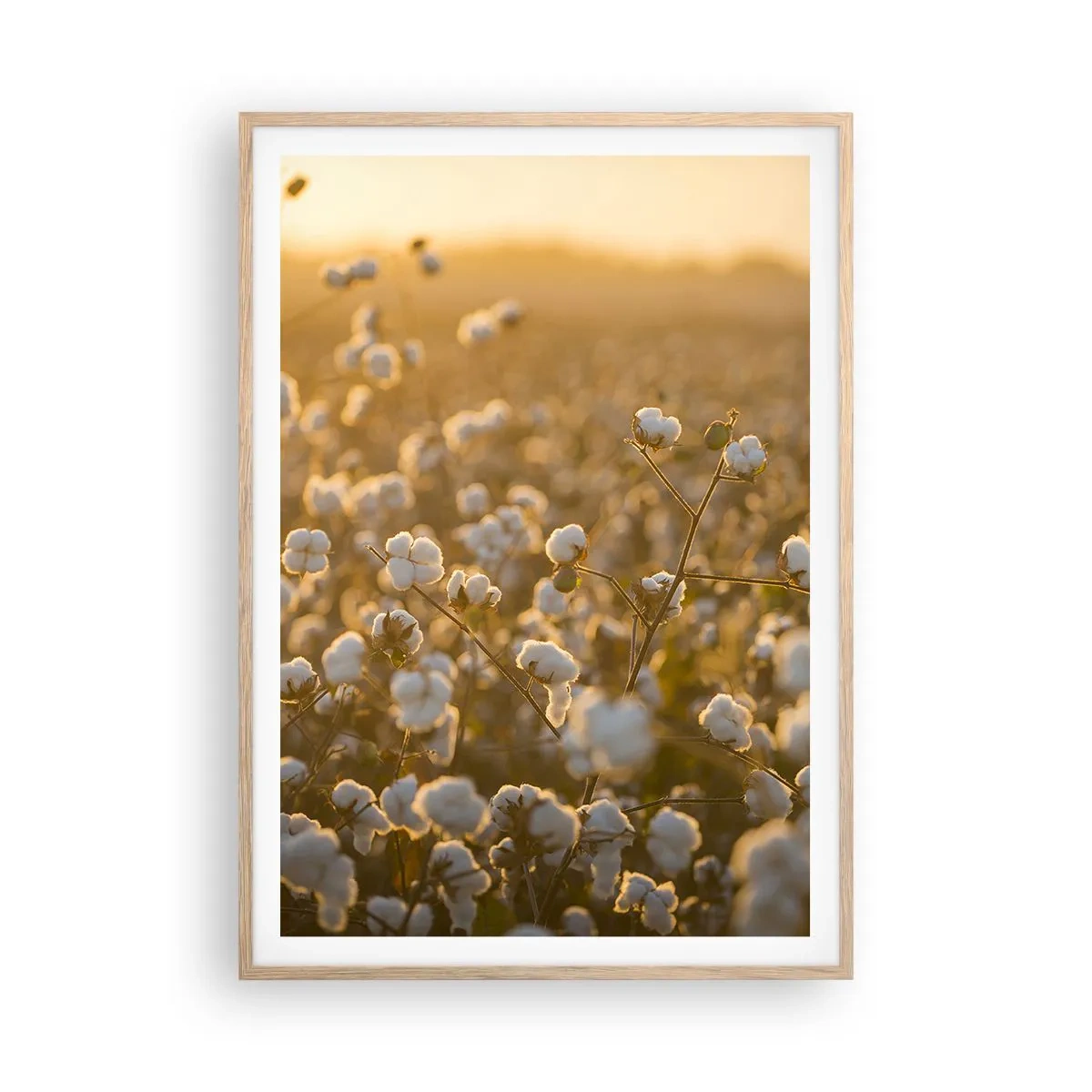 Poster in einem Rahmen aus heller Eiche - Fluffiges Feld - 70x100 cm