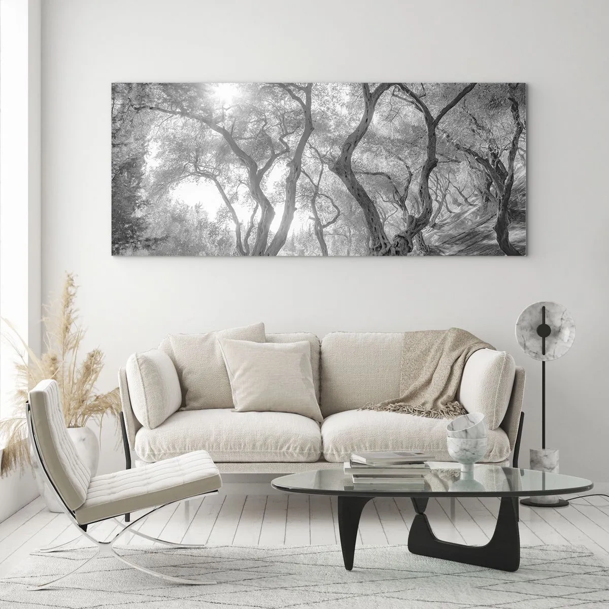 Glasbild - Bild auf glas - Im Olivenhain - 100x40 cm