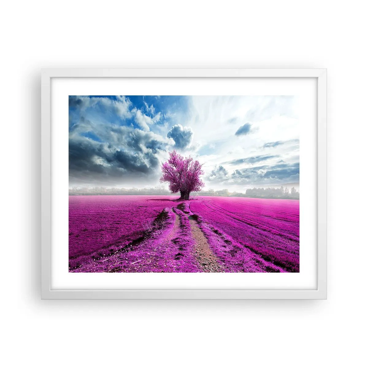 Poster in einem weißen Rahmen - Heide - Wildnis - 50x40 cm