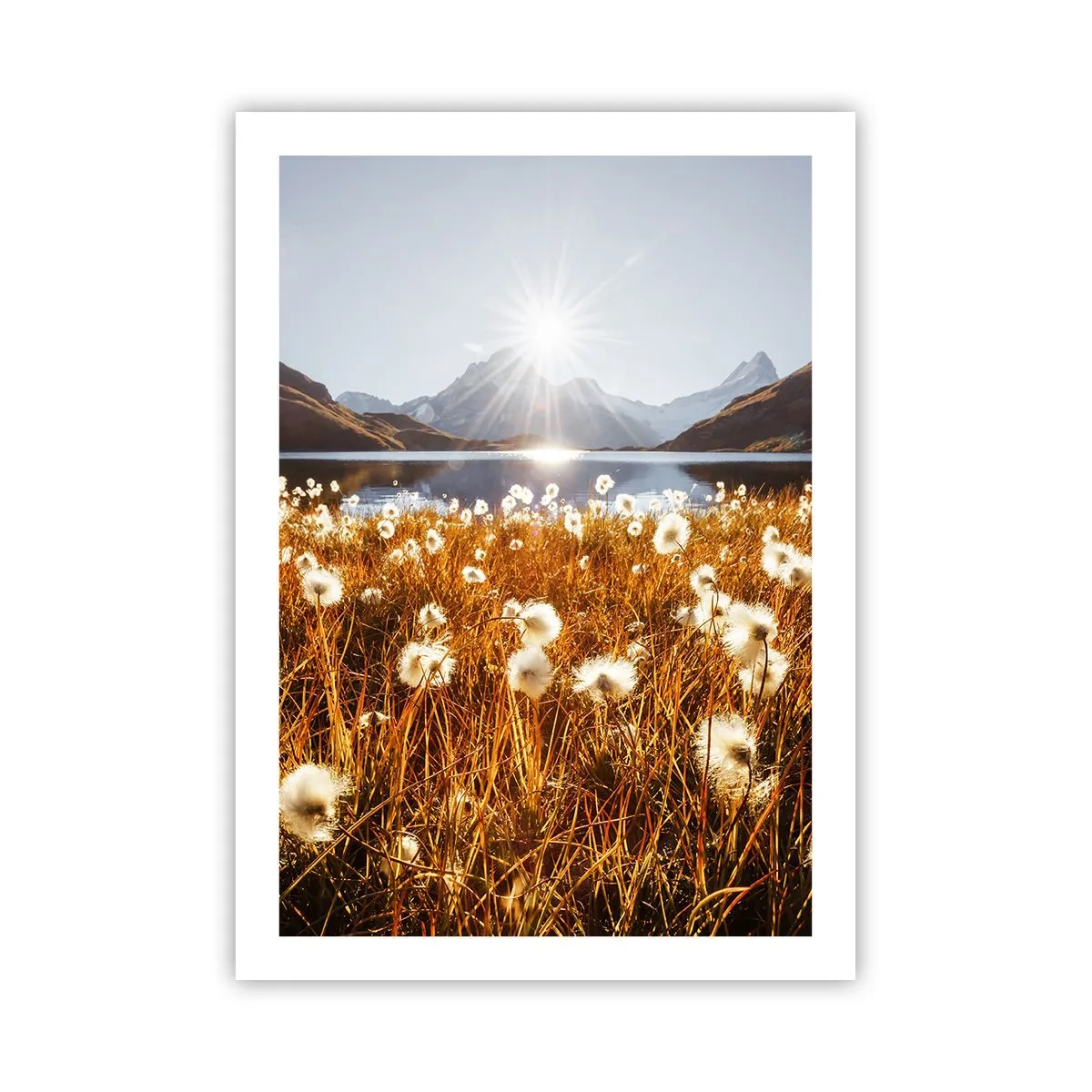 Poster - Eine Wiese mit weißen Blumen vor einem See und Bergen bei Sonnenuntergang - 50x70cm - Steinhärte, Grasweichheit - Moderne Wanddekoration für Wohnzimmer und Schlafzimmer ARTTOR