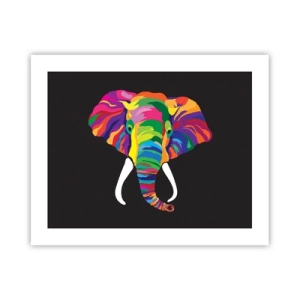 Poster - Der Elefant, der es liebte, im Regenbogen zu baden - 50x40 cm