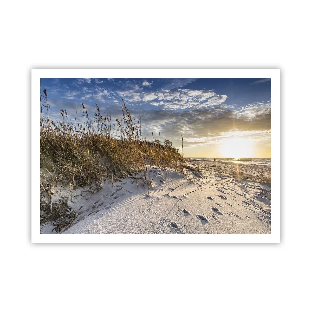 Poster - Dünen mit Gras und Fußspuren im Sand bei Sonnenuntergang - 100x70cm - Einladung zu einem Spaziergang - Moderne Wanddekoration für Wohnzimmer und Schlafzimmer ARTTOR