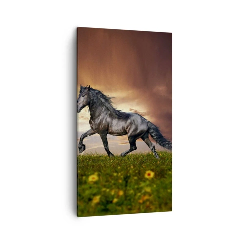 Bild auf Leinwand - Leinwandbild - Schwarzer Prinz - 45x80 cm