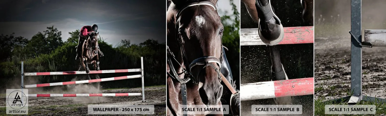 Fototapetenmuster Standard Eco - Gemeinsam zum Sieg - Tiere, Pferd, Sport - 100x30 cm