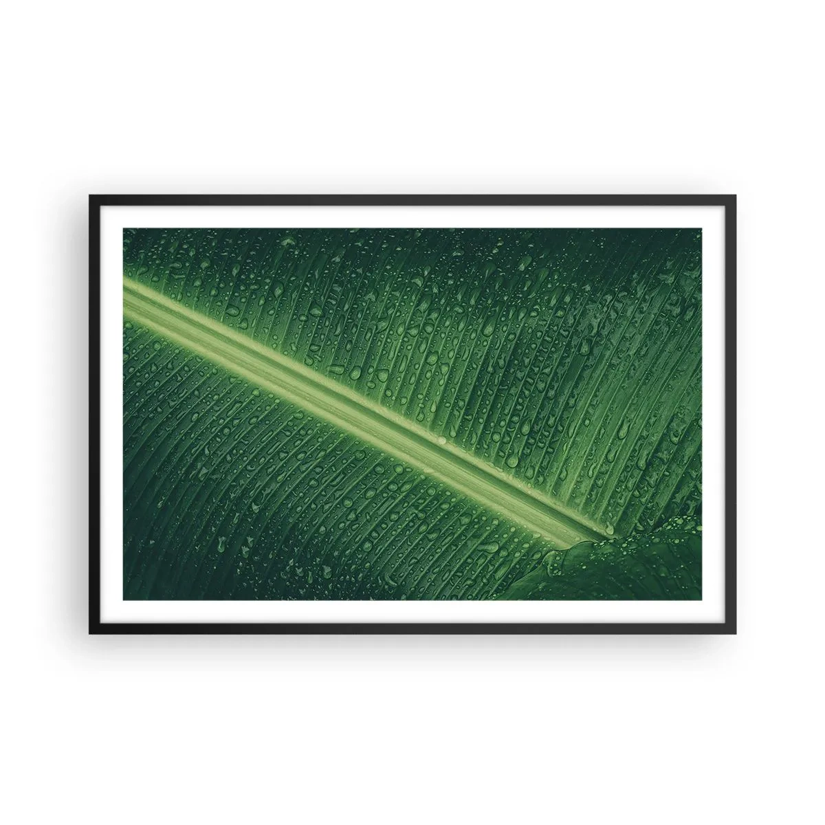 Poster in einem schwarzem Rahmen - Die Struktur des Grüns - 91x61 cm