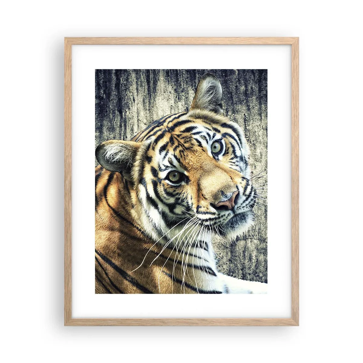 Poster in einem Rahmen aus heller Eiche - Portrait in Lichtstrahlen - 40x50 cm