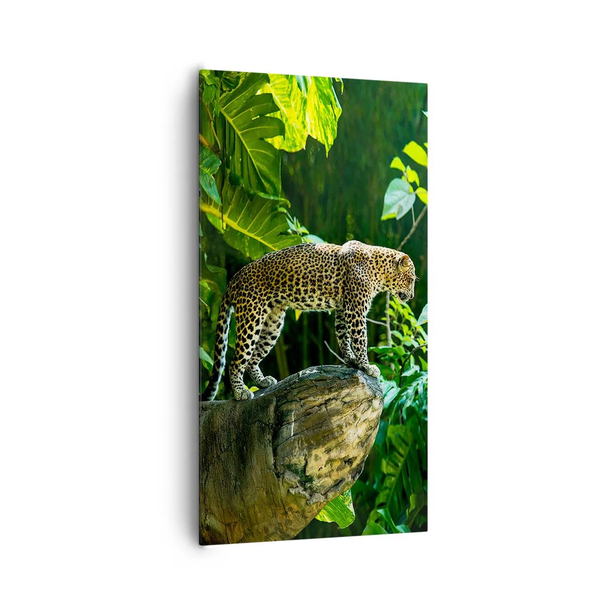 Bild auf Leinwand - Leinwandbild - Auf die Jagd? - 65x120 cm