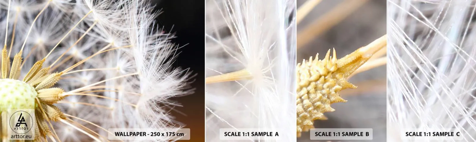 Fototapetenmuster Standard Eco - Kurz vor dem Abflug - Blume, Anlage, Natur - 100x30 cm