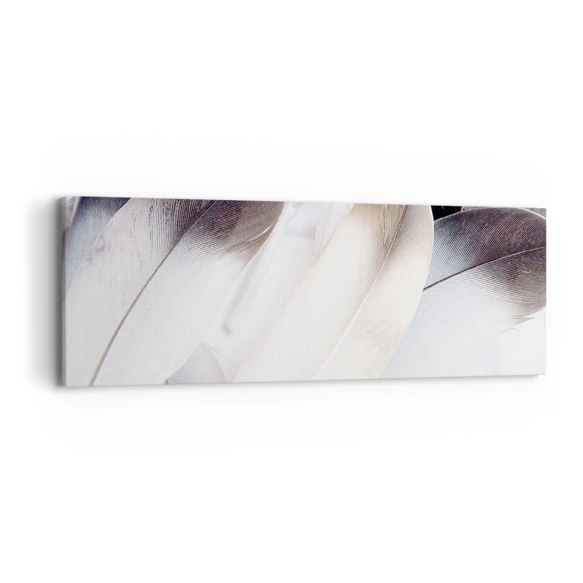 Bild auf Leinwand - Leinwandbild - Fast engelhaft - 90x30 cm