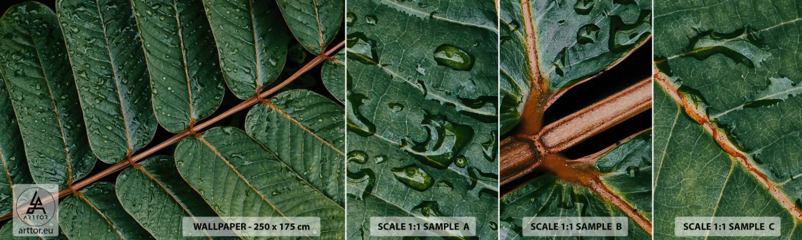 Fototapeten Muster Selbstklebend Deluxe Sticker - Im grünen Rhythmus - Grüne Blätter, Tropische Pflanze, Stück - 100x30 cm