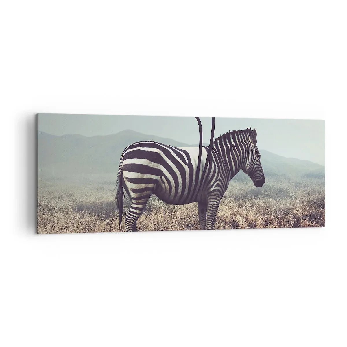 Bild auf Leinwand - Leinwandbild - Ein surreales Zebra vor einer grasbewachsenen Landschaft - 140x50cm - Achtung! Fehler - Moderne Wanddekoration für Wohnzimmer und Schlafzimmer ARTTOR