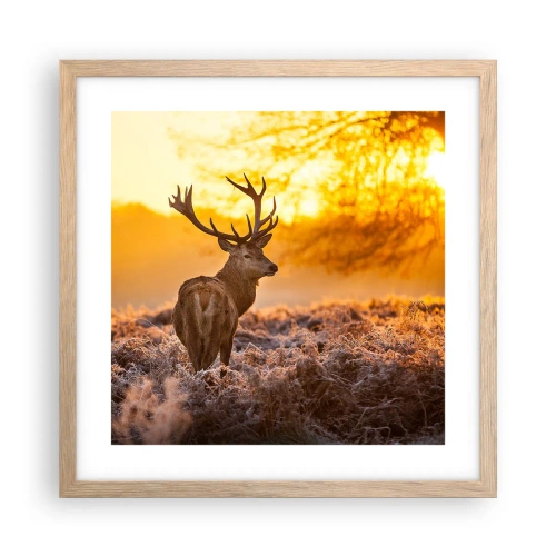 Poster in einem Rahmen aus heller Eiche - König des Herbstwaldes - 40x40 cm