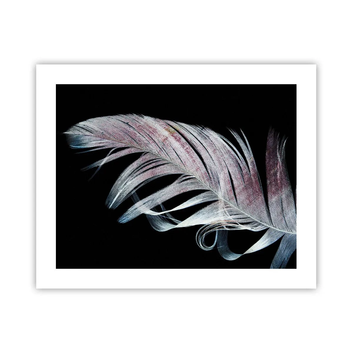 Poster - Denke an Berührung - 50x40 cm