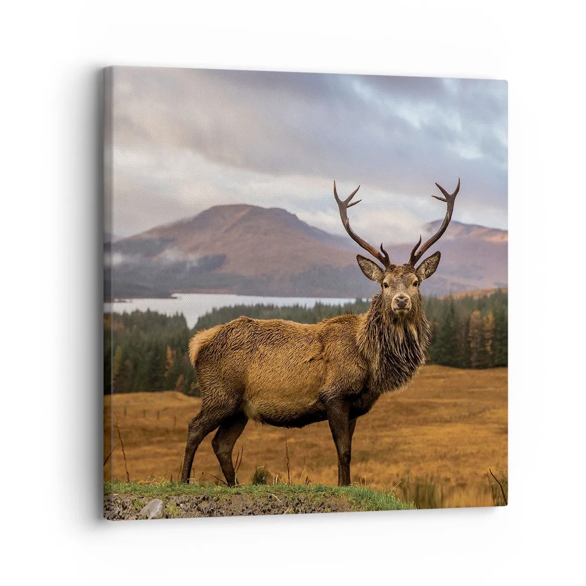 Bild auf Leinwand - Leinwandbild - Die Majestät der Natur - 30x30 cm